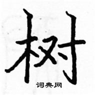 树楷书硬笔书法字典