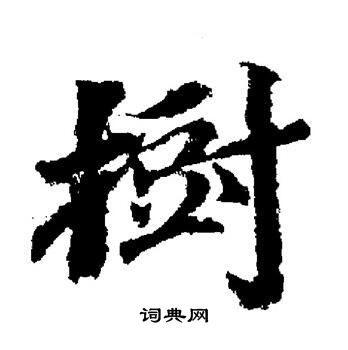 树楷书书法字典