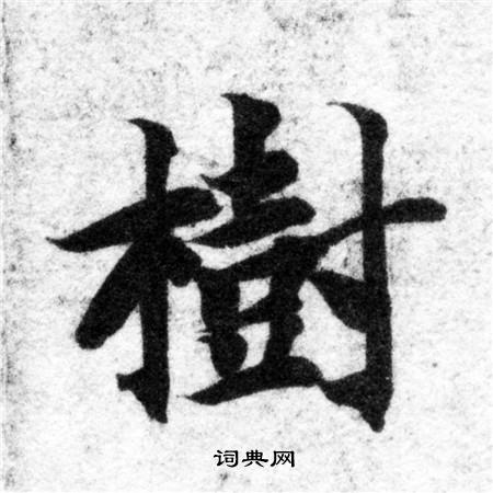 树楷书书法字典