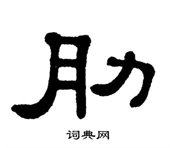 肋书法字典