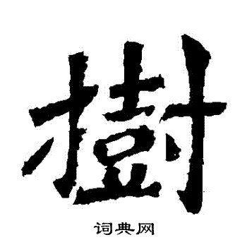 树楷书书法字典