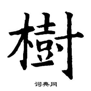 树楷书书法字典