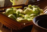 北人食菱翻譯及道理分析