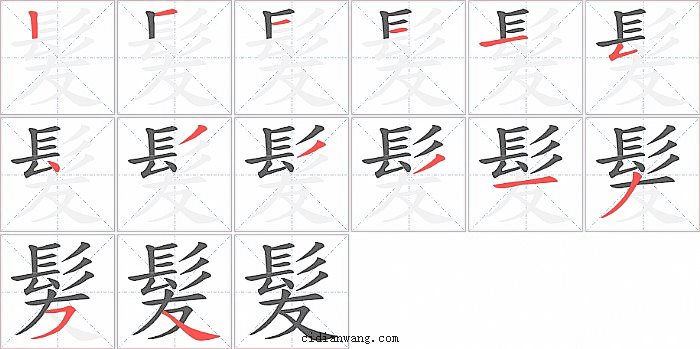 髪字笔顺分步演示图