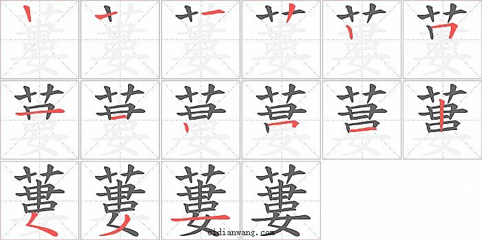 蔞字笔顺分步演示图