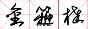朱锡荣金箍棒草书怎么写