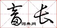 曾庆福畜长草书怎么写