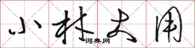 骆恒光小材大用草书怎么写