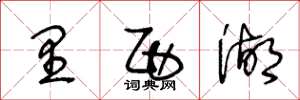 王冬龄里西湖草书怎么写