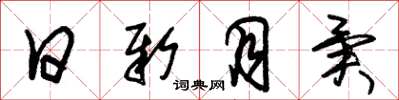 朱锡荣日新月异草书怎么写