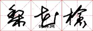 朱锡荣梨花枪草书怎么写