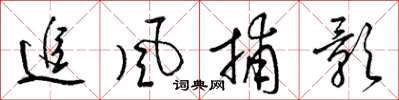梁锦英追风捕影草书怎么写