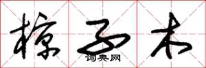 朱锡荣椋子木草书怎么写