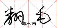梁锦英翻毛草书怎么写