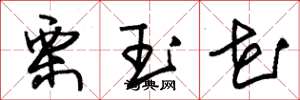 朱锡荣栗玉花草书怎么写