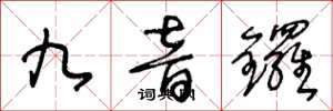 王冬龄九音锣草书怎么写