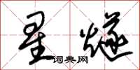 朱锡荣星燧草书怎么写