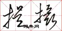 骆恒光提摄草书怎么写