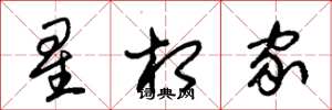 朱锡荣星相家草书怎么写