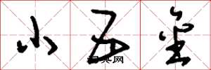 刘少英小五金草书怎么写