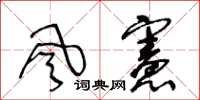 王冬龄風憲草书怎么写