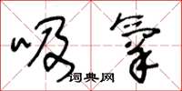 王冬龄吸氧草书怎么写
