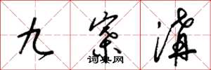 梁锦英九寨沟草书怎么写