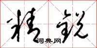 梁锦英精锐草书怎么写