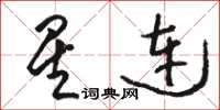 骆恒光星连草书怎么写