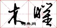 刘少英木曜草书怎么写