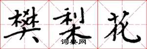 周炳元樊梨花楷书怎么写