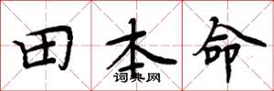 周炳元田本命楷书怎么写