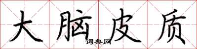 荆霄鹏大脑皮质楷书怎么写
