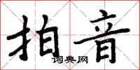 周炳元拍音楷书怎么写