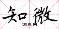周炳元知微楷书怎么写