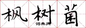 周炳元枫树菌楷书怎么写