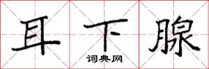 袁强耳下腺楷书怎么写