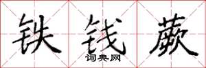 袁强铁钱蕨楷书怎么写