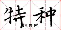 周炳元特种楷书怎么写