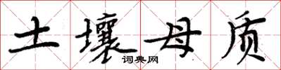 周炳元土壤母质楷书怎么写