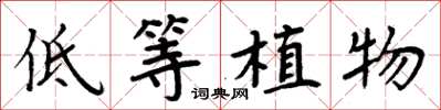 周炳元低等植物楷书怎么写