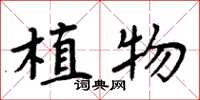 周炳元植物楷书怎么写