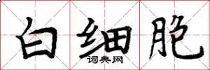 周炳元白细胞楷书怎么写
