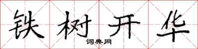 袁强铁树开华楷书怎么写