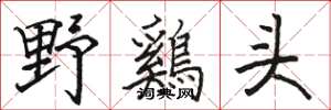 野鷄头怎么写好看，野鷄头书法图片