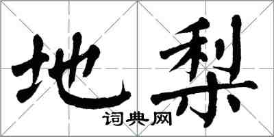 翁闿运地梨楷书怎么写