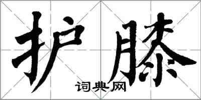 翁闿运护膝楷书怎么写