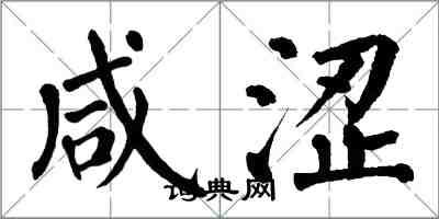 翁闿运咸涩楷书怎么写