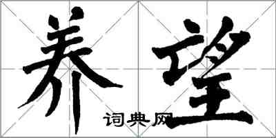 翁闿运养望楷书怎么写