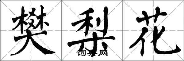 翁闿运樊梨花楷书怎么写